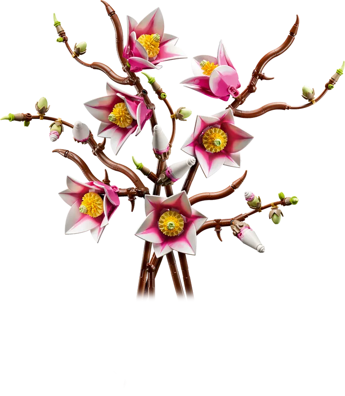 Magnolia Branches