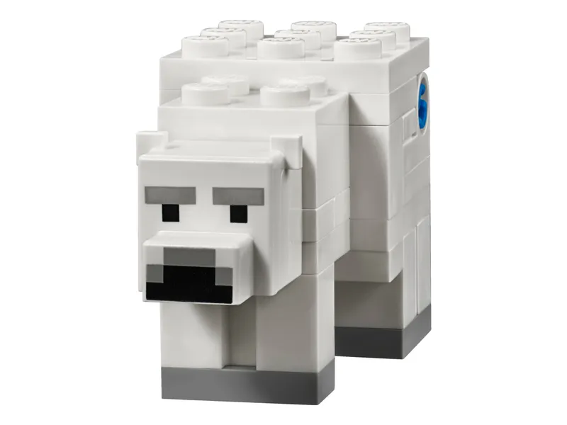 The Polar Igloo