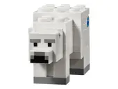 The Polar Igloo