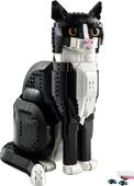Tuxedo Cat