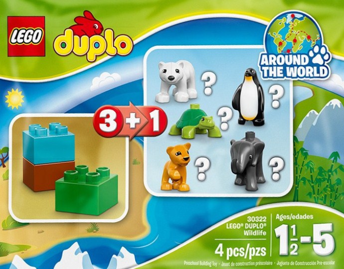 Wildlife Penguin