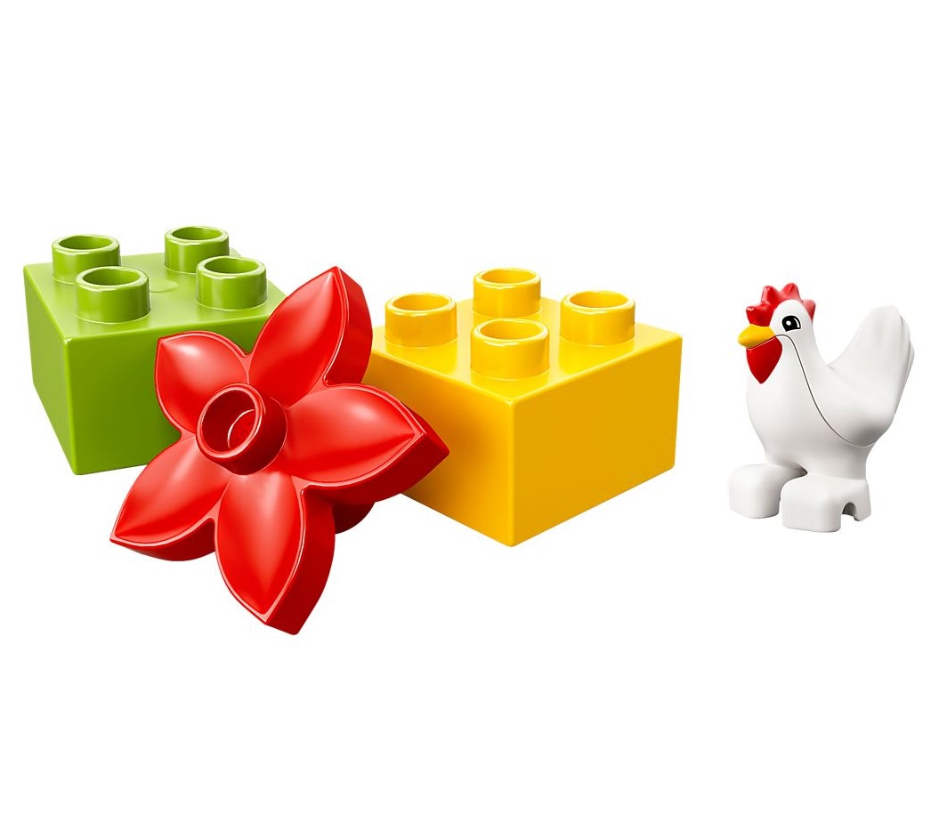 Farm - Chicken