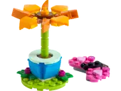 Garden Flower and Butterfly