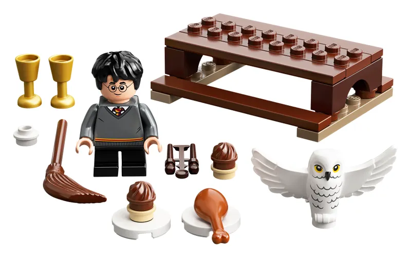 Harry Potter and Hedwig: Owl Delivery