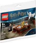 Harry Potter and Hedwig: Owl Delivery