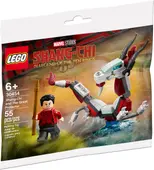 Shang-Chi and the Great Protector