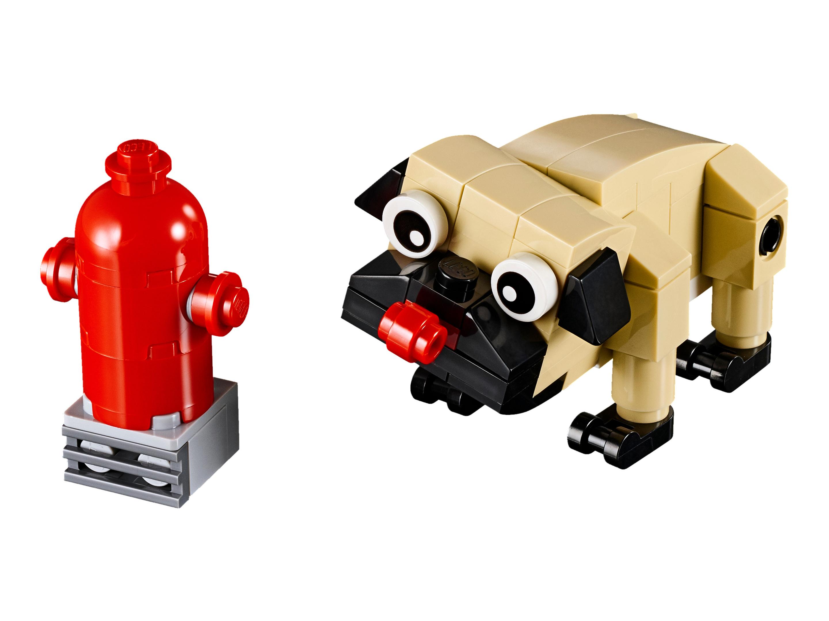 Cute Pug
