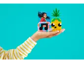 Pineapple Photo Holder and Mini Board