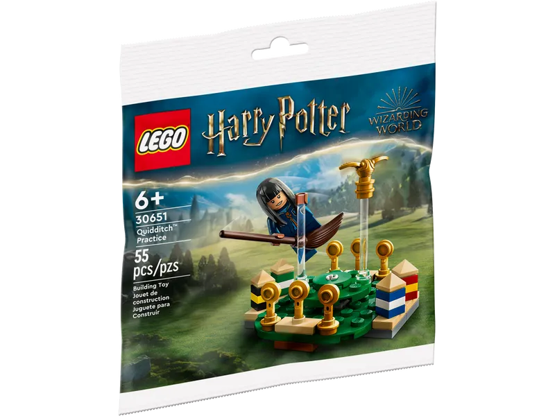 Quidditch Practice
