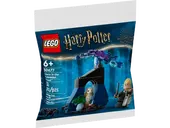 Draco in the Forbidden Forest