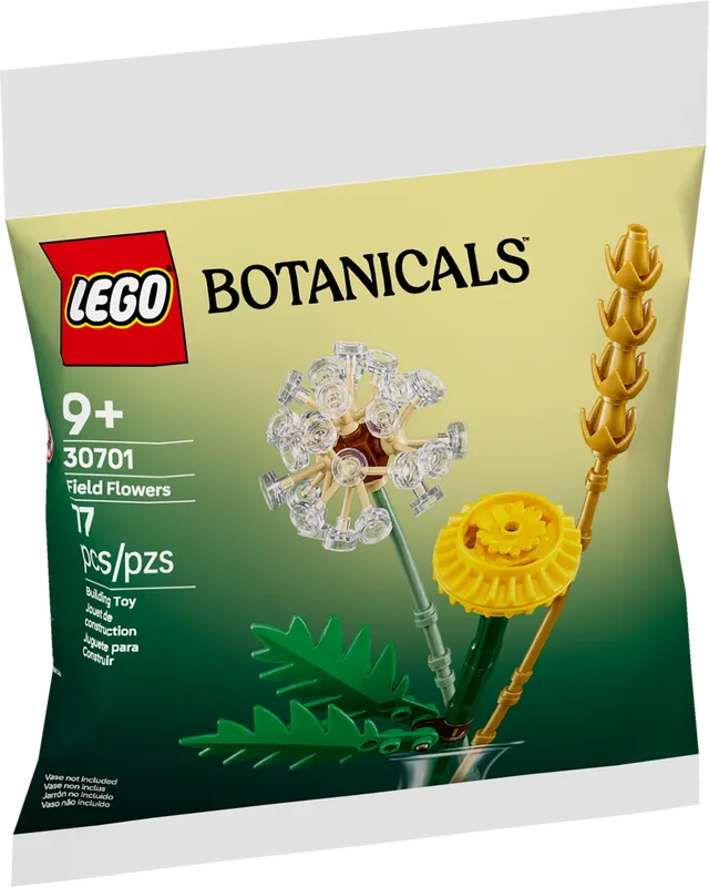 Field Flowers