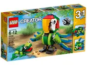 Rainforest Animals