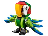 Rainforest Animals