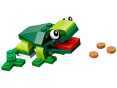 Rainforest Animals