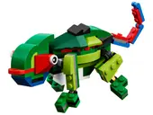 Rainforest Animals