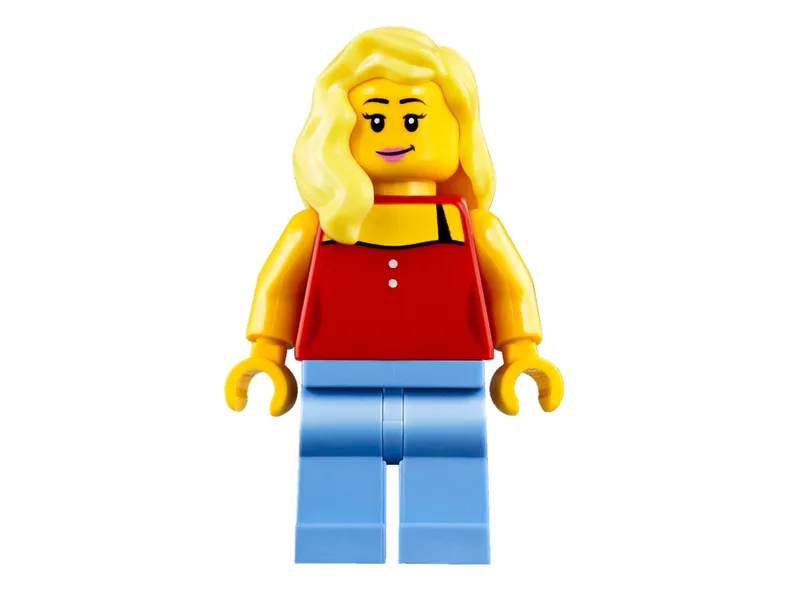 Sunshine Surfer Van Sunshine Surfer Van