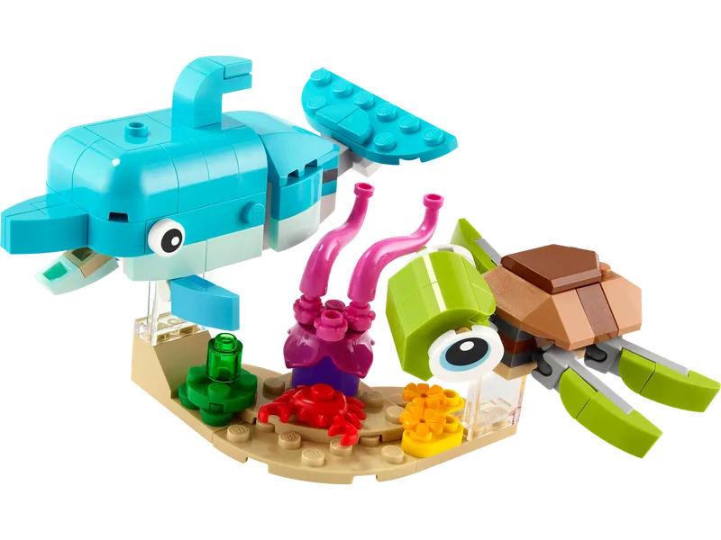 Dolphin and Turtle Dolphin and Turtle