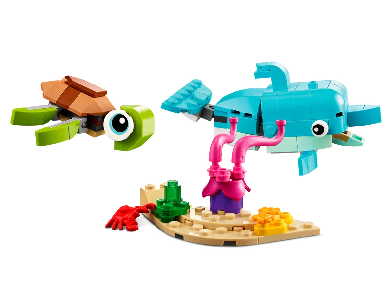 Dolphin and Turtle Dolphin and Turtle