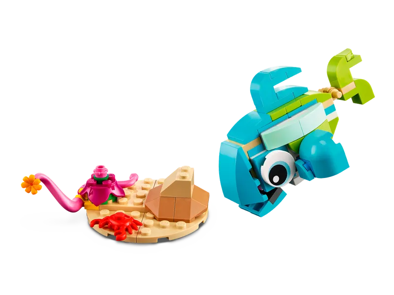 Dolphin and Turtle Dolphin and Turtle