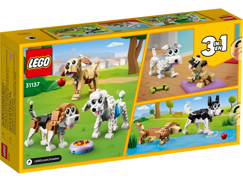 Adorable Dogs Adorable Dogs