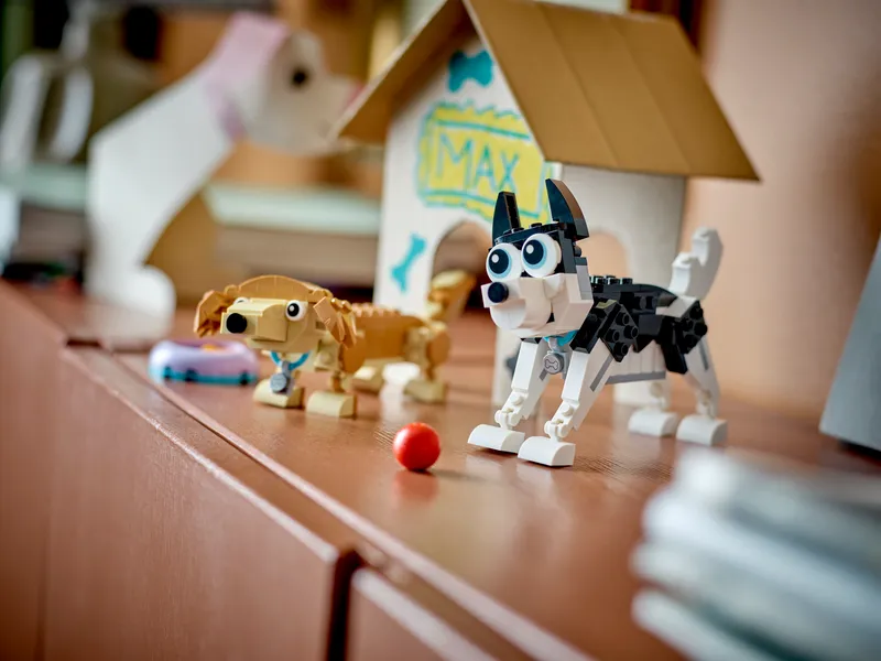 Adorable Dogs Adorable Dogs