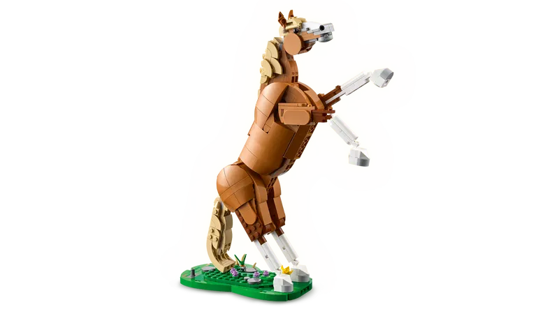 Beautiful Horse