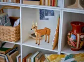 Beautiful Horse