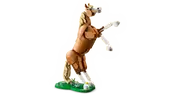 Beautiful Horse
