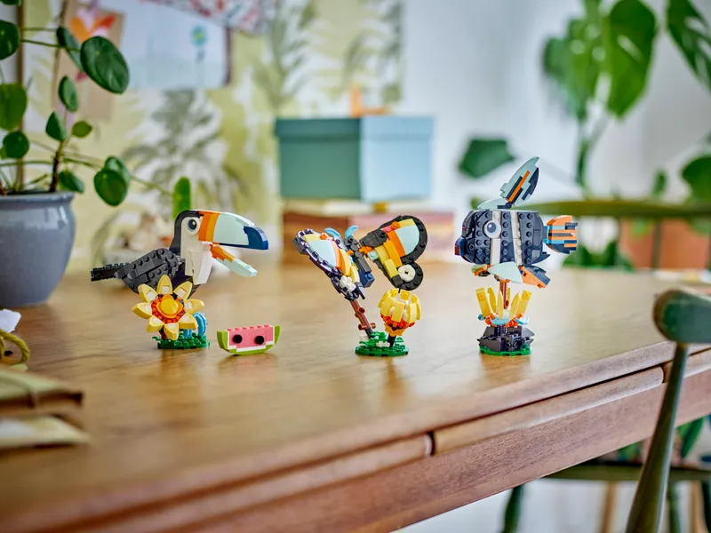 Wild Animals: Tropical Toucan