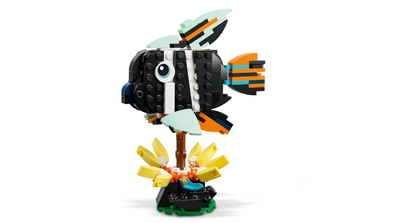 Wild Animals: Tropical Toucan