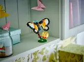 Wild Animals: Tropical Toucan