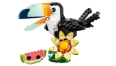 Wild Animals: Tropical Toucan