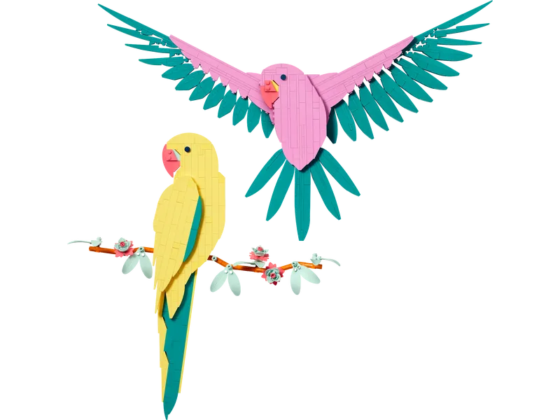 The Fauna Collection – Macaw Parrots The Fauna Collection – Macaw Parrots