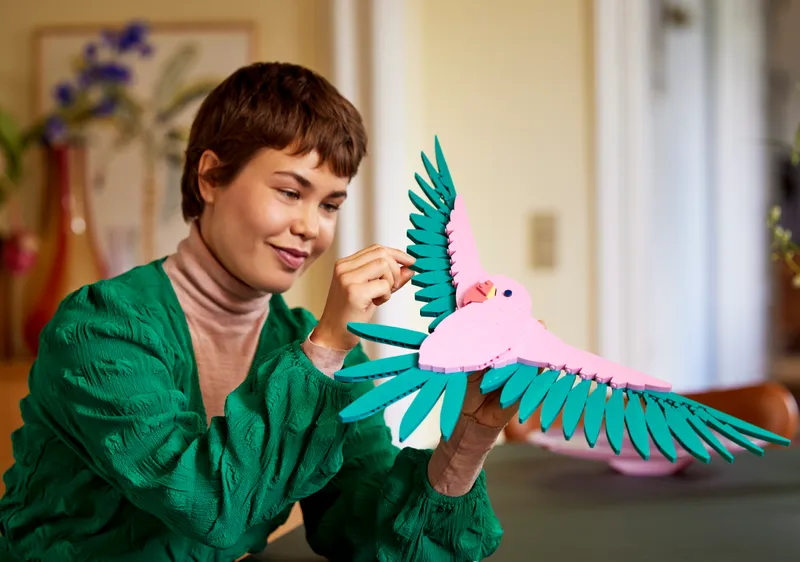 The Fauna Collection – Macaw Parrots The Fauna Collection – Macaw Parrots