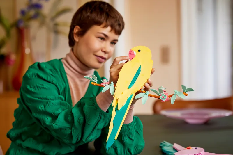 The Fauna Collection – Macaw Parrots The Fauna Collection – Macaw Parrots