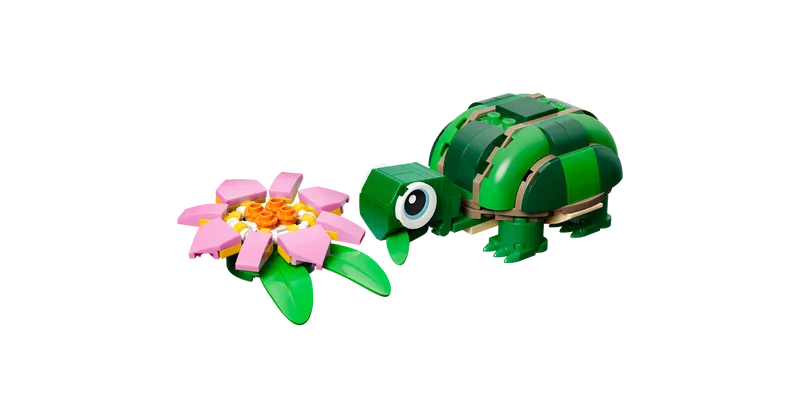 Turtle with a Water Lily Flower
