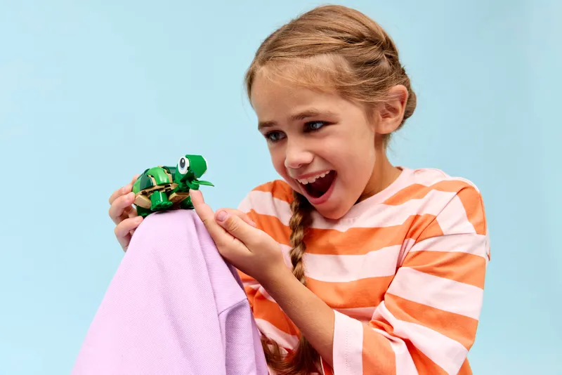 Turtle with a Water Lily Flower