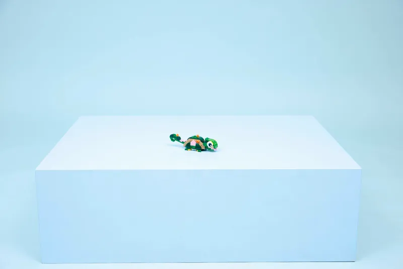 Turtle with a Water Lily Flower