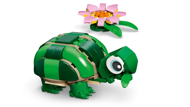Turtle with a Water Lily Flower
