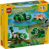 Turtle with a Water Lily Flower