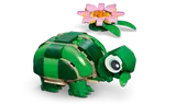 Turtle with a Water Lily Flower