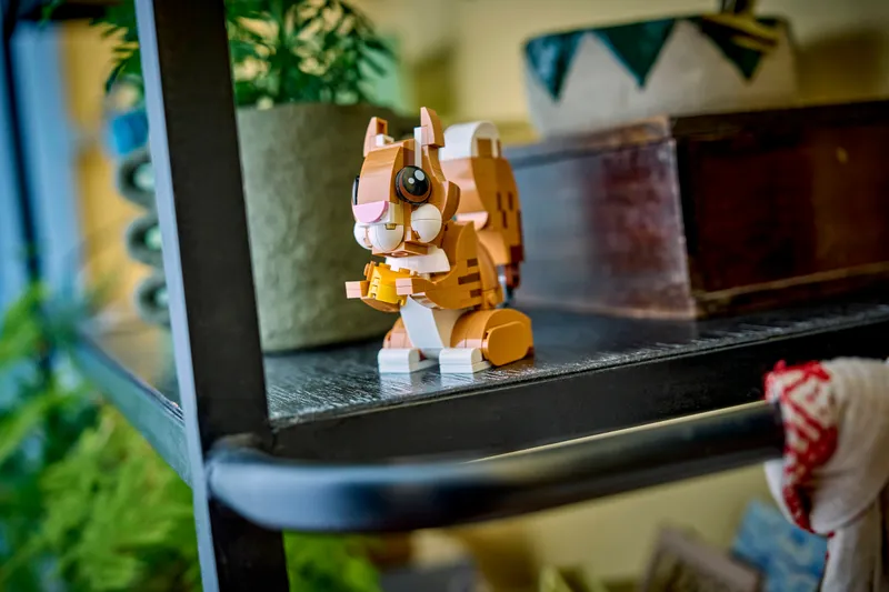 Cute Animals: Playful Puppy Dog