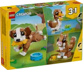 Cute Animals: Playful Puppy Dog