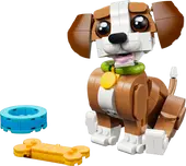 Cute Animals: Playful Puppy Dog