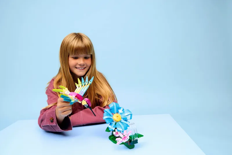 Wild Animals: Colorful Hummingbird