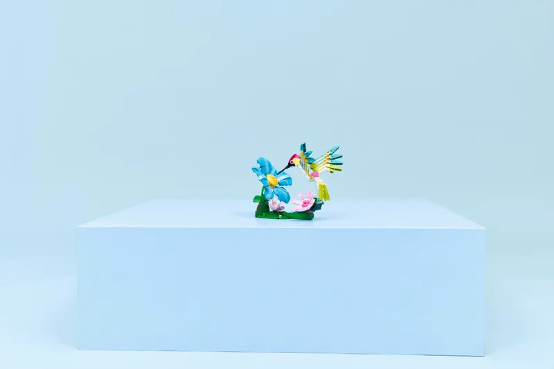 Wild Animals: Colorful Hummingbird