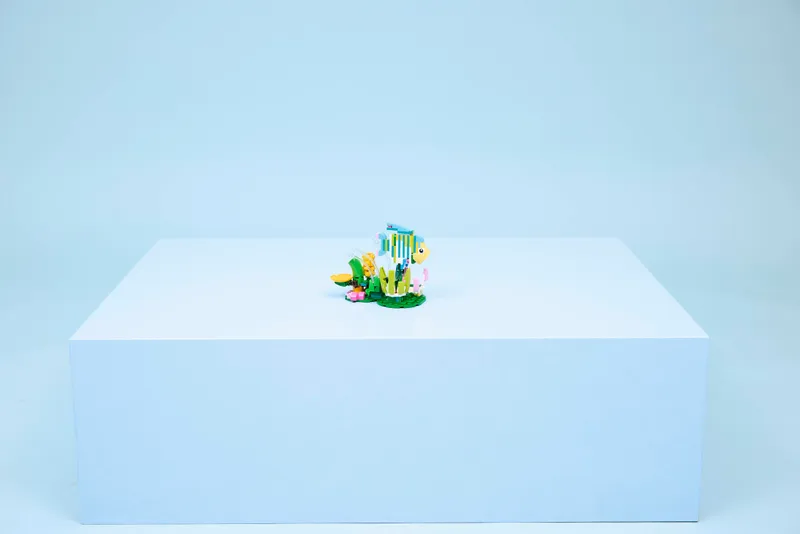 Wild Animals: Colorful Hummingbird