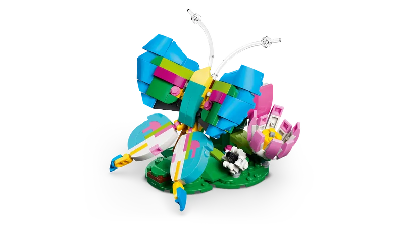 Wild Animals: Colorful Hummingbird