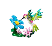 Wild Animals: Colorful Hummingbird