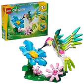 Wild Animals: Colorful Hummingbird